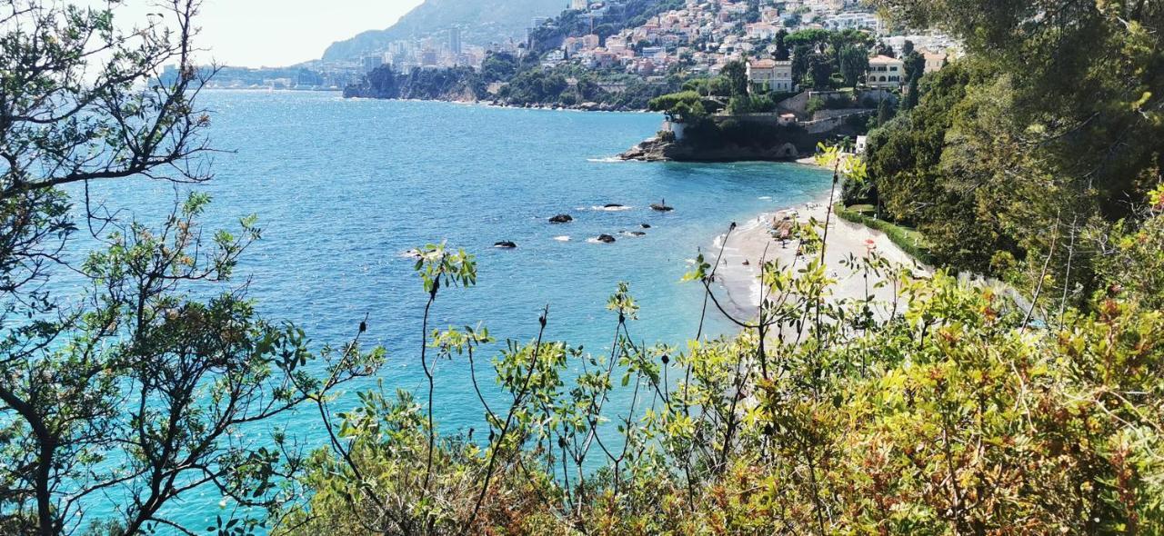 Vue Magnifique, Piscine Privee Chauffee Et Sauna A 10Min De Monaco Рокебрюн — Кап-Мартен Экстерьер фото